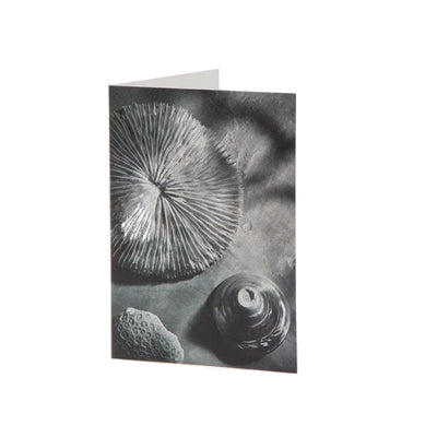 Fine Art Card - The Sea Floor - Heating & Plumbing London - 