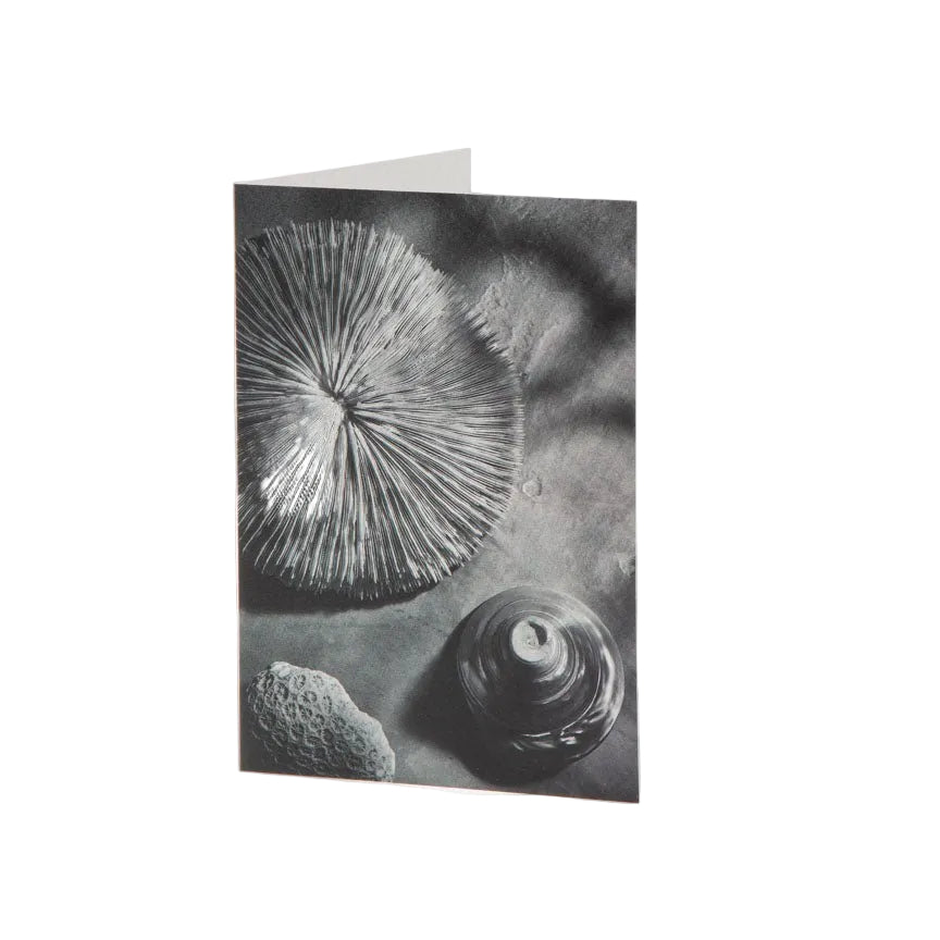 Fine Art Card - The Sea Floor - Heating & Plumbing London - 