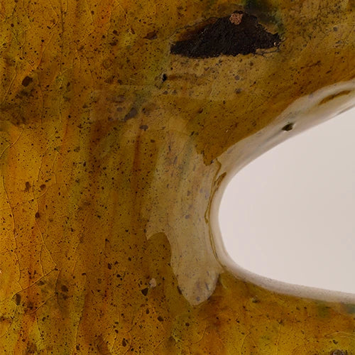 Solaris – Tamegroute Sculptural Vase - Close up