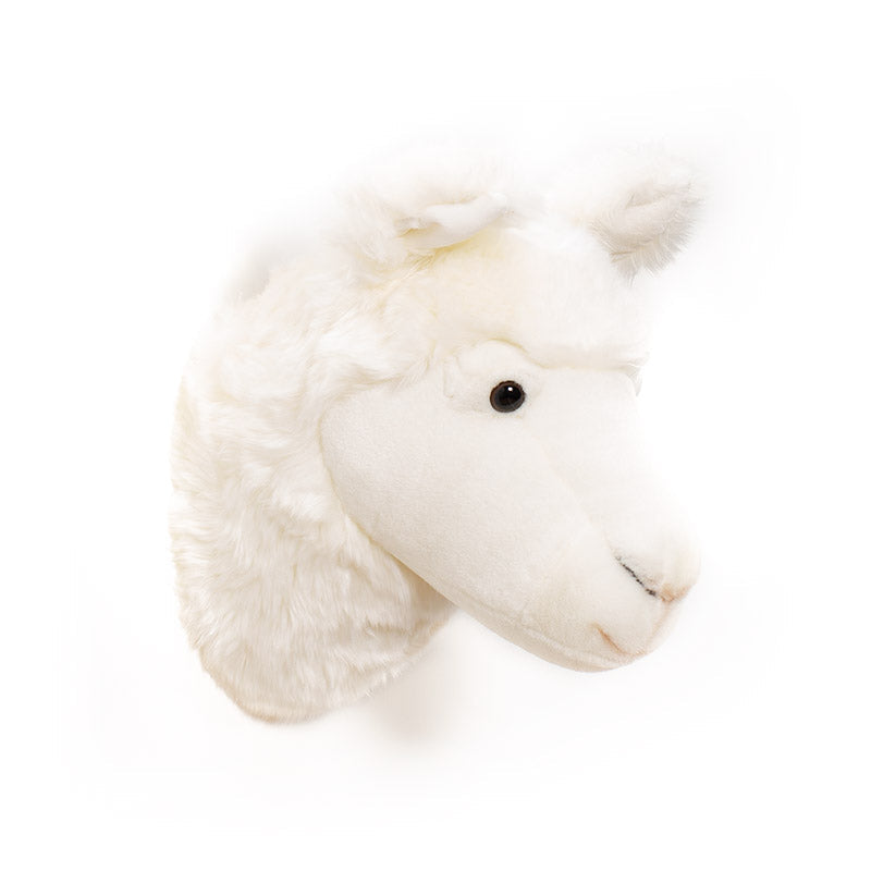 Lily the Llama Wall Mounted Plush Head