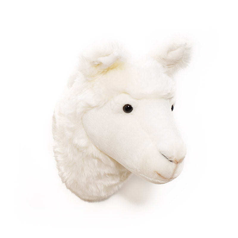 Lily the Llama Wall Mounted Plush Head