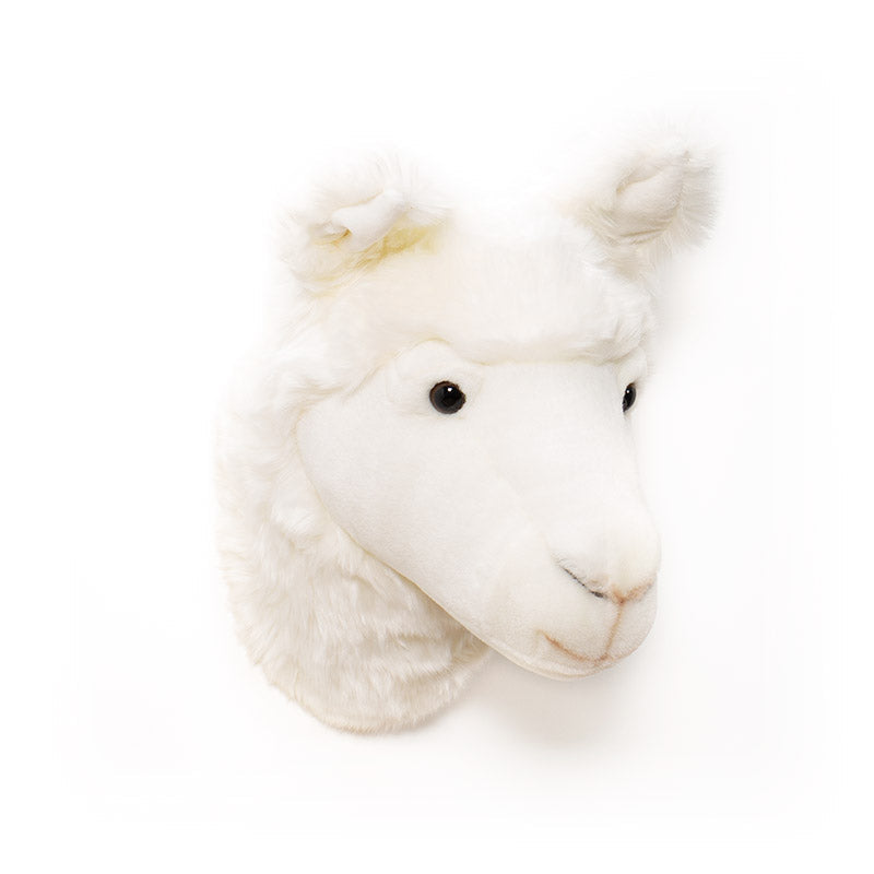Lily the Llama Wall Mounted Plush Head