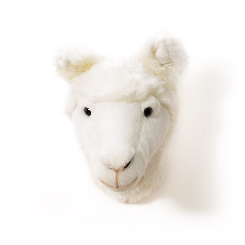 Lily the Llama Wall Mounted Plush Head