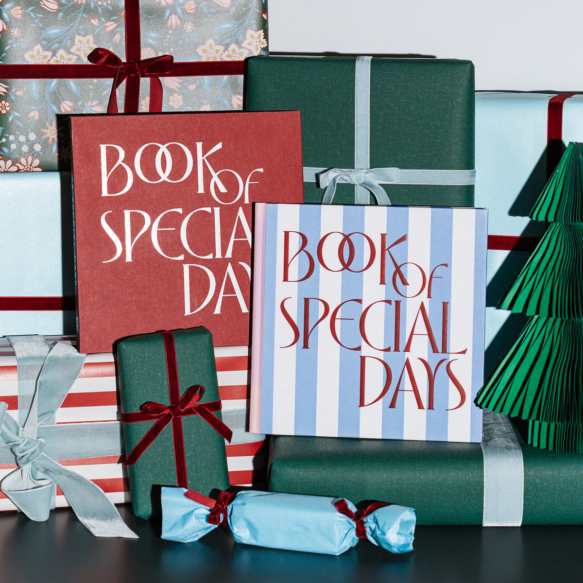 Book of Special Days - Classic Stripe