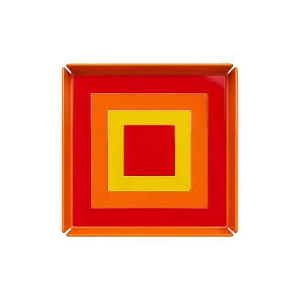 Metal Loop Tray