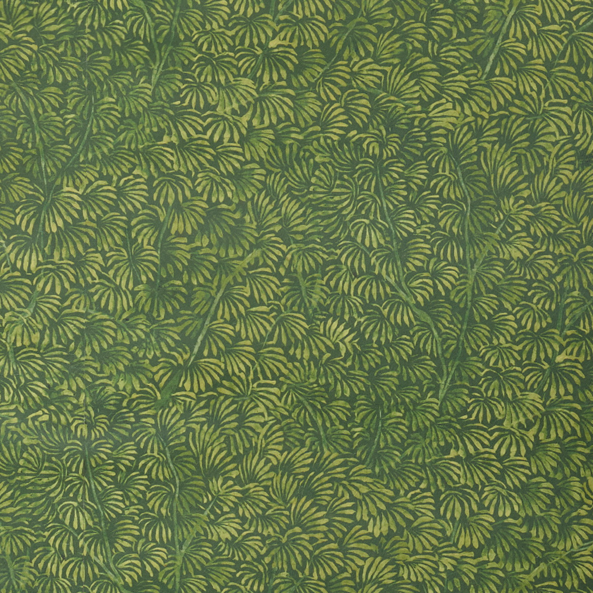 Kanopea Wallpaper