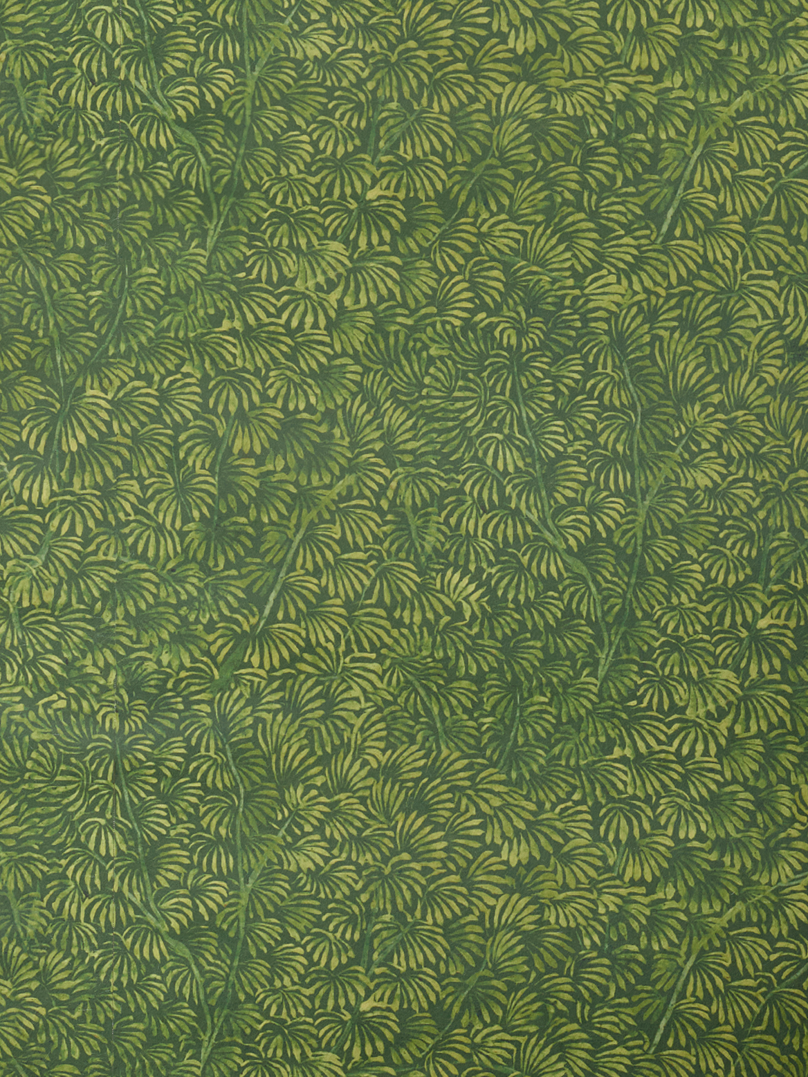 Kanopea Wallpaper