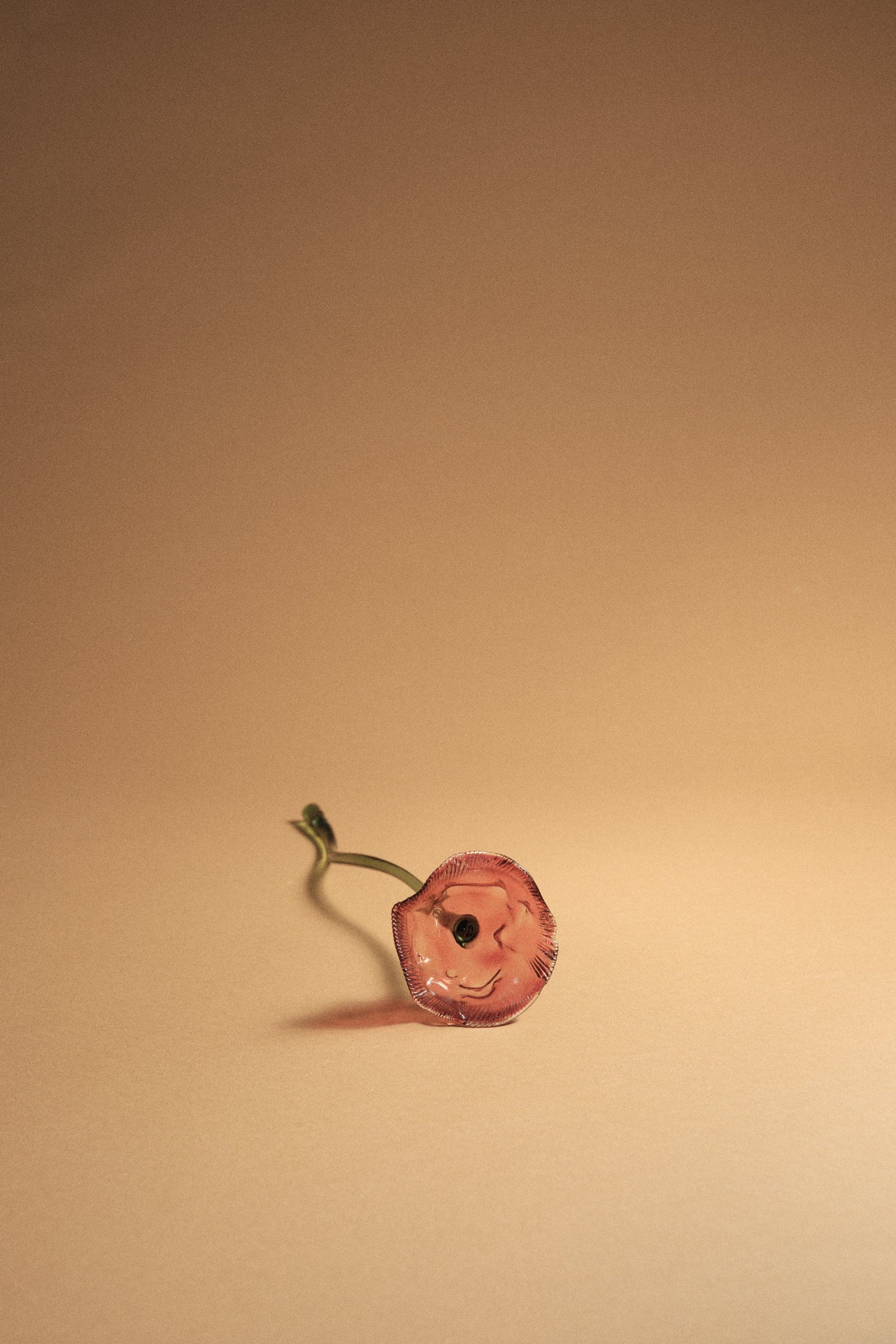 Poppy Flower, Red