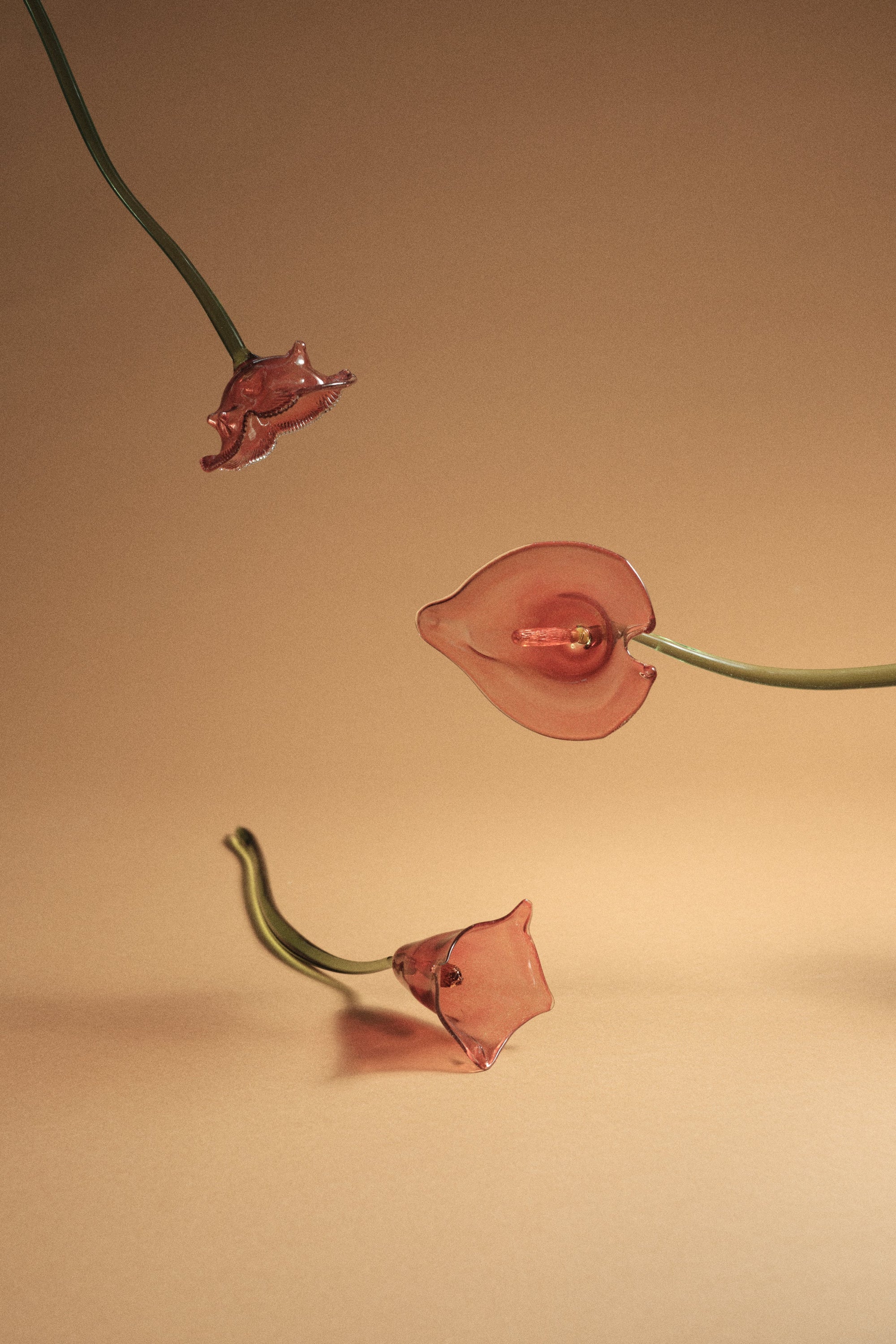 Calla Flower, Red
