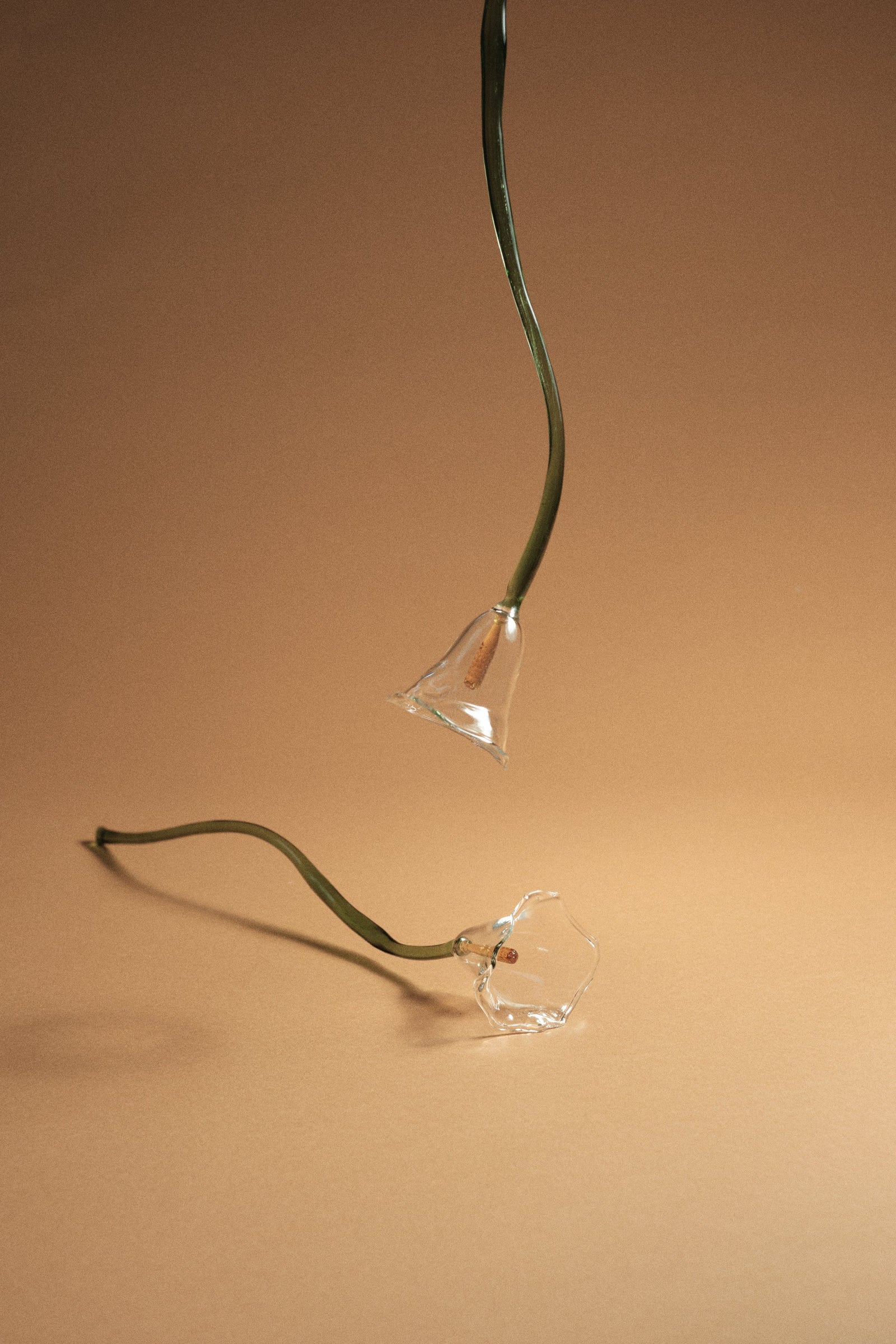 Calla Flower, Clear