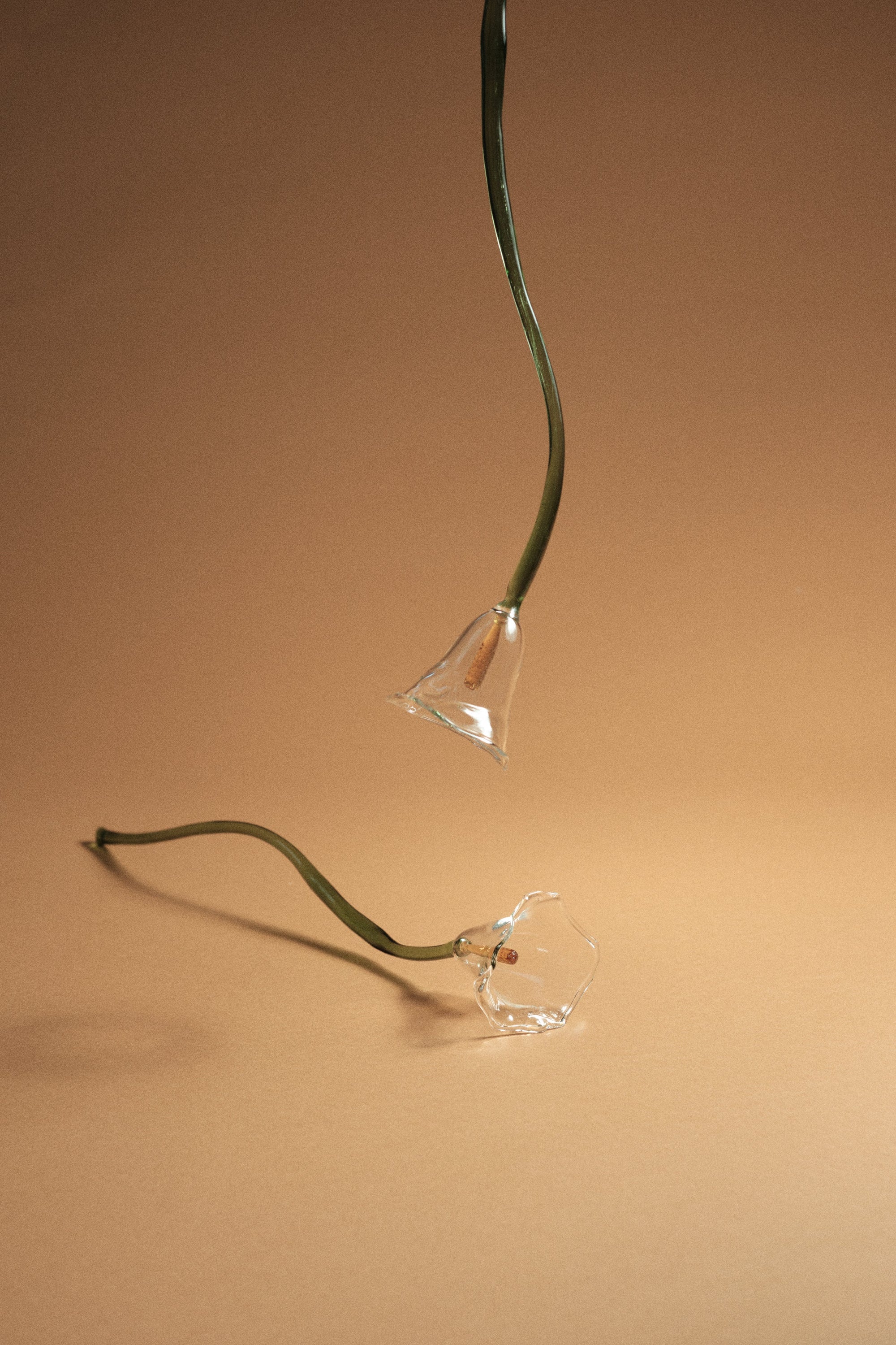 Calla Flower, Clear