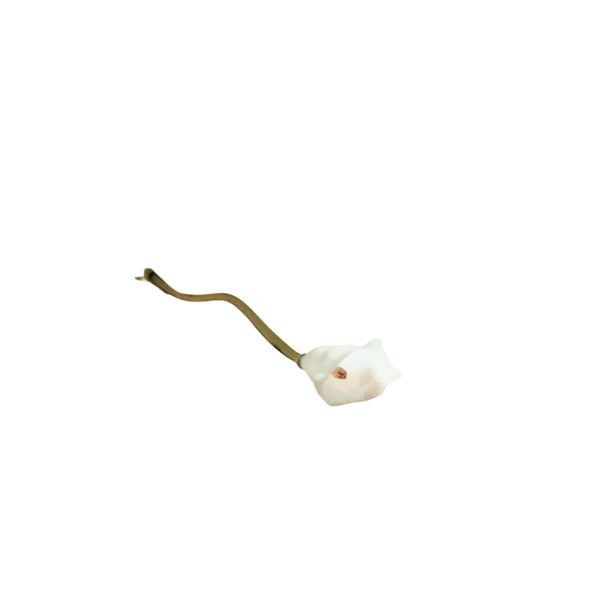 Calla Flower, White