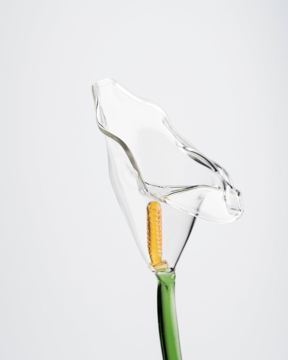 Calla Flower, Clear