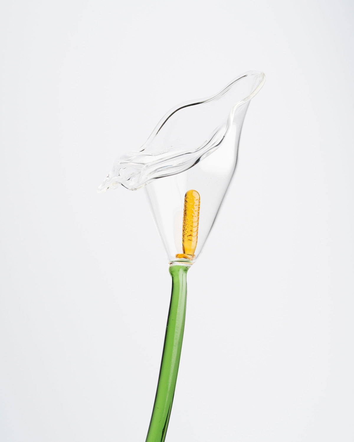 Calla Flower, Clear