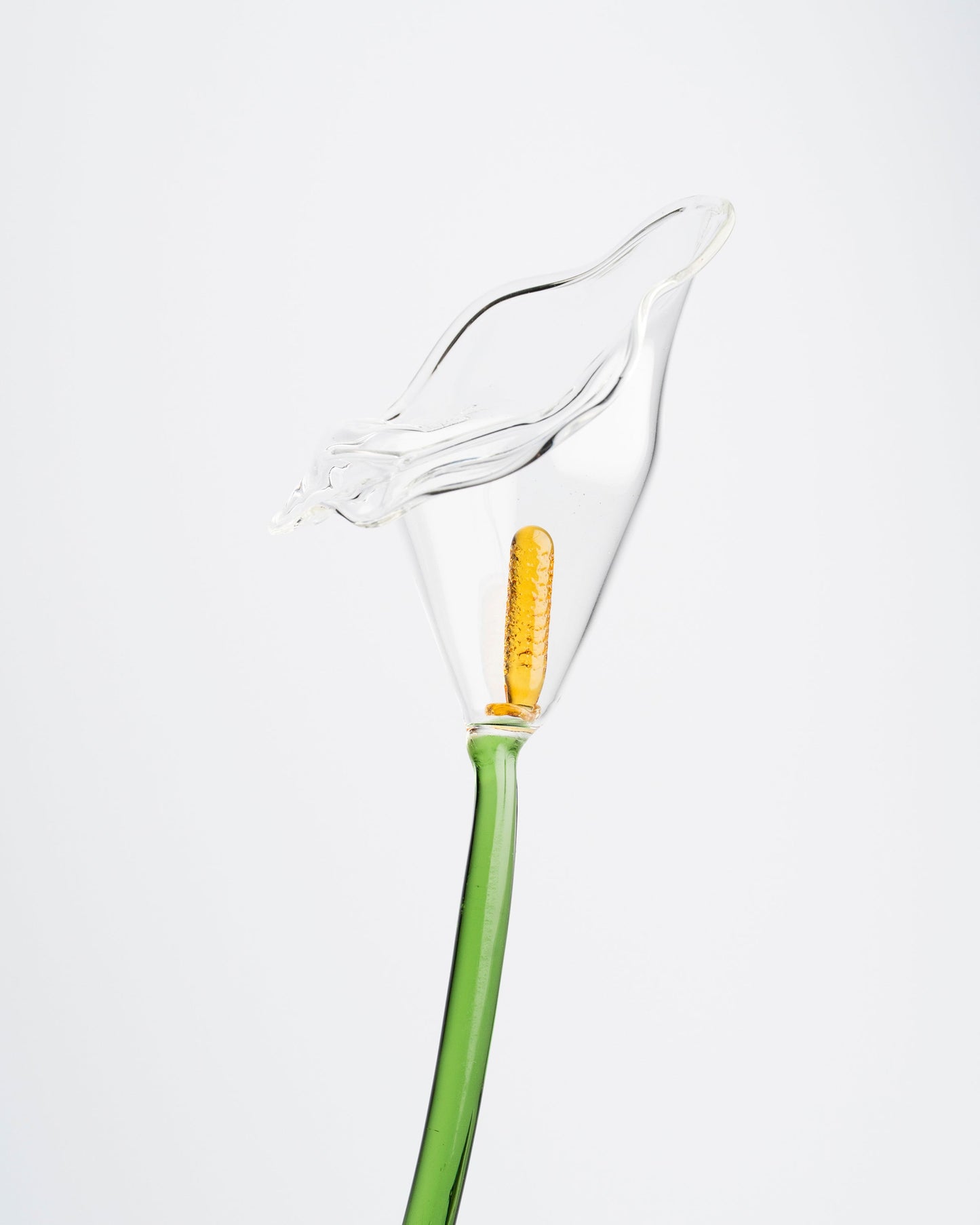 Calla Flower, Clear