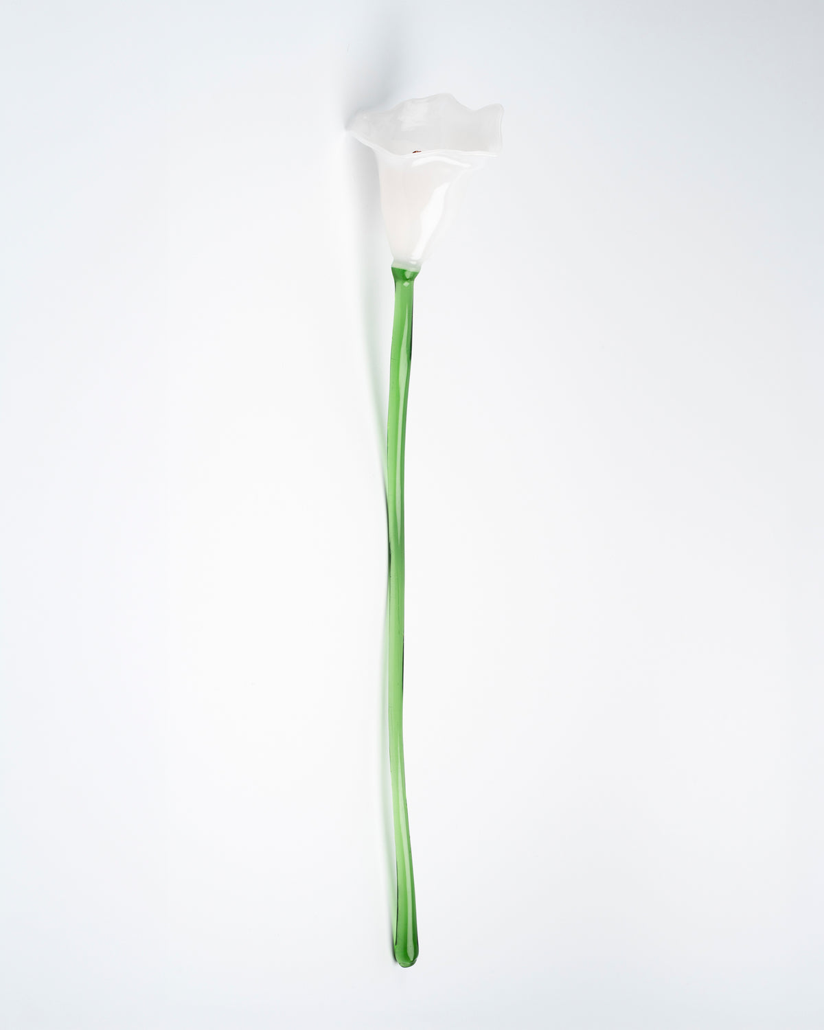 Calla Flower, White
