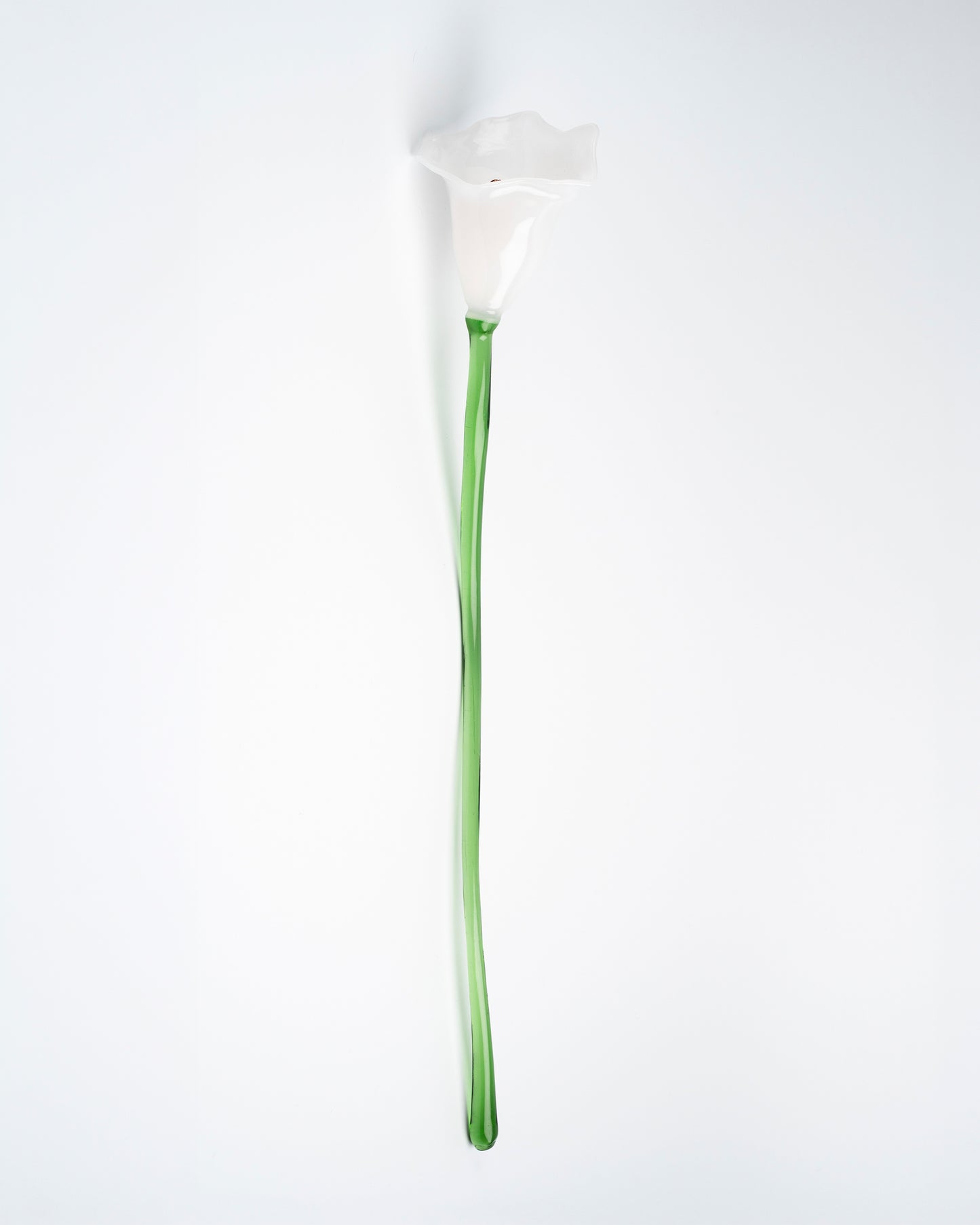 Calla Flower, White