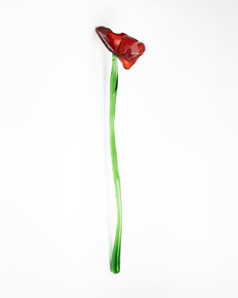Jungle Flower, Red