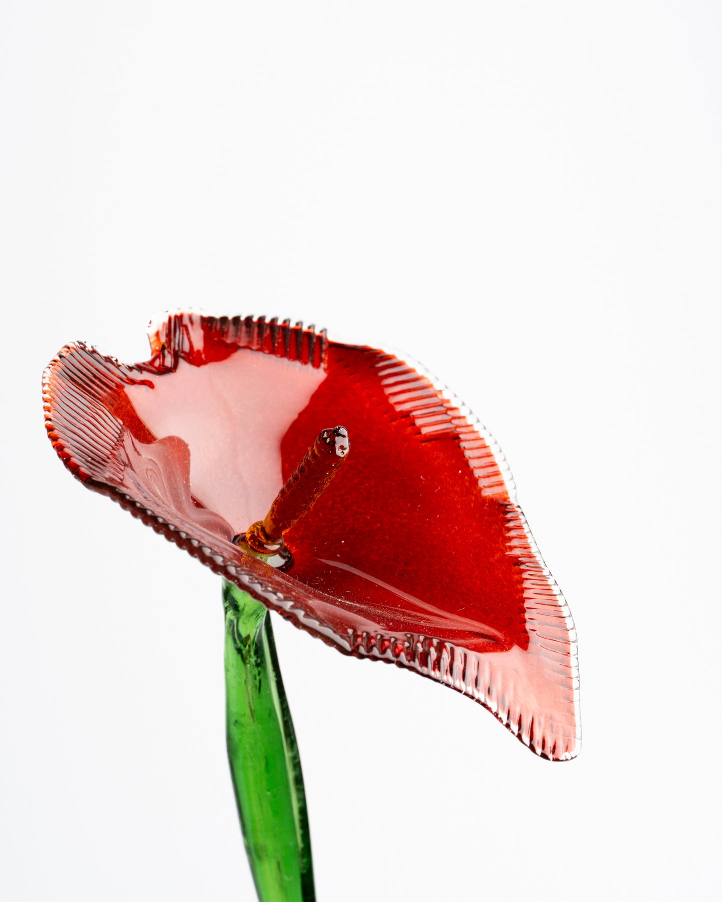 Jungle Flower, Red
