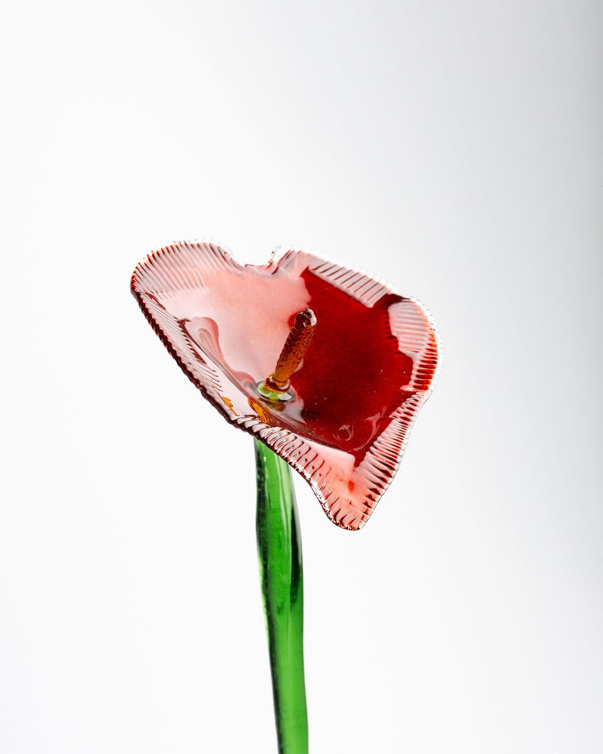 Jungle Flower, Red