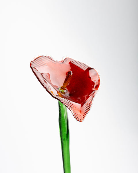 Jungle Flower, Red