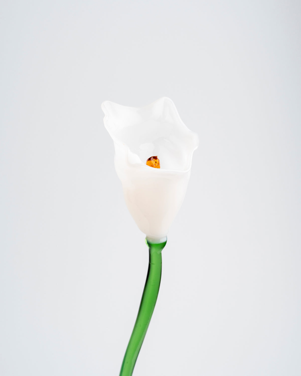Calla Flower, White
