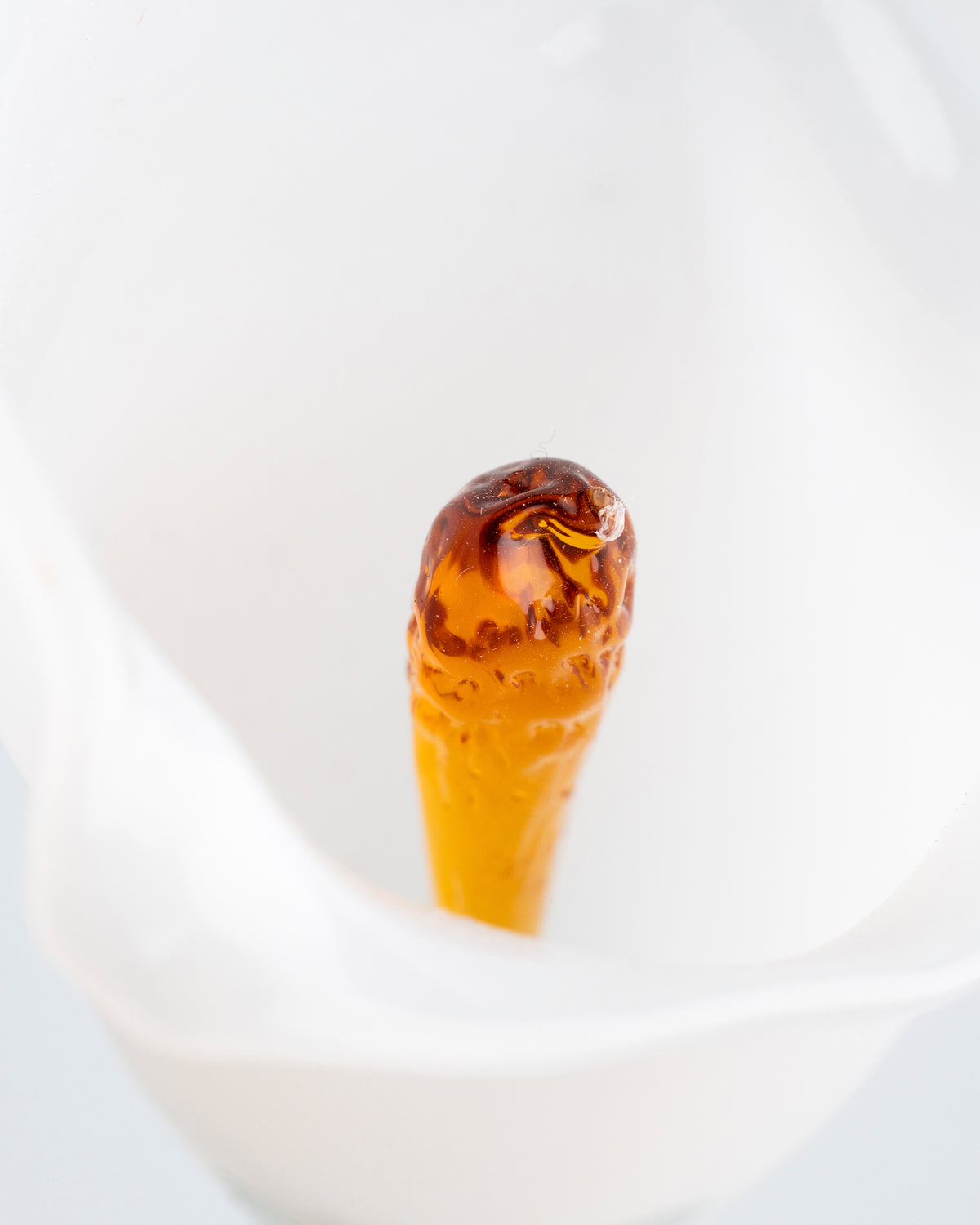 Calla Flower, White