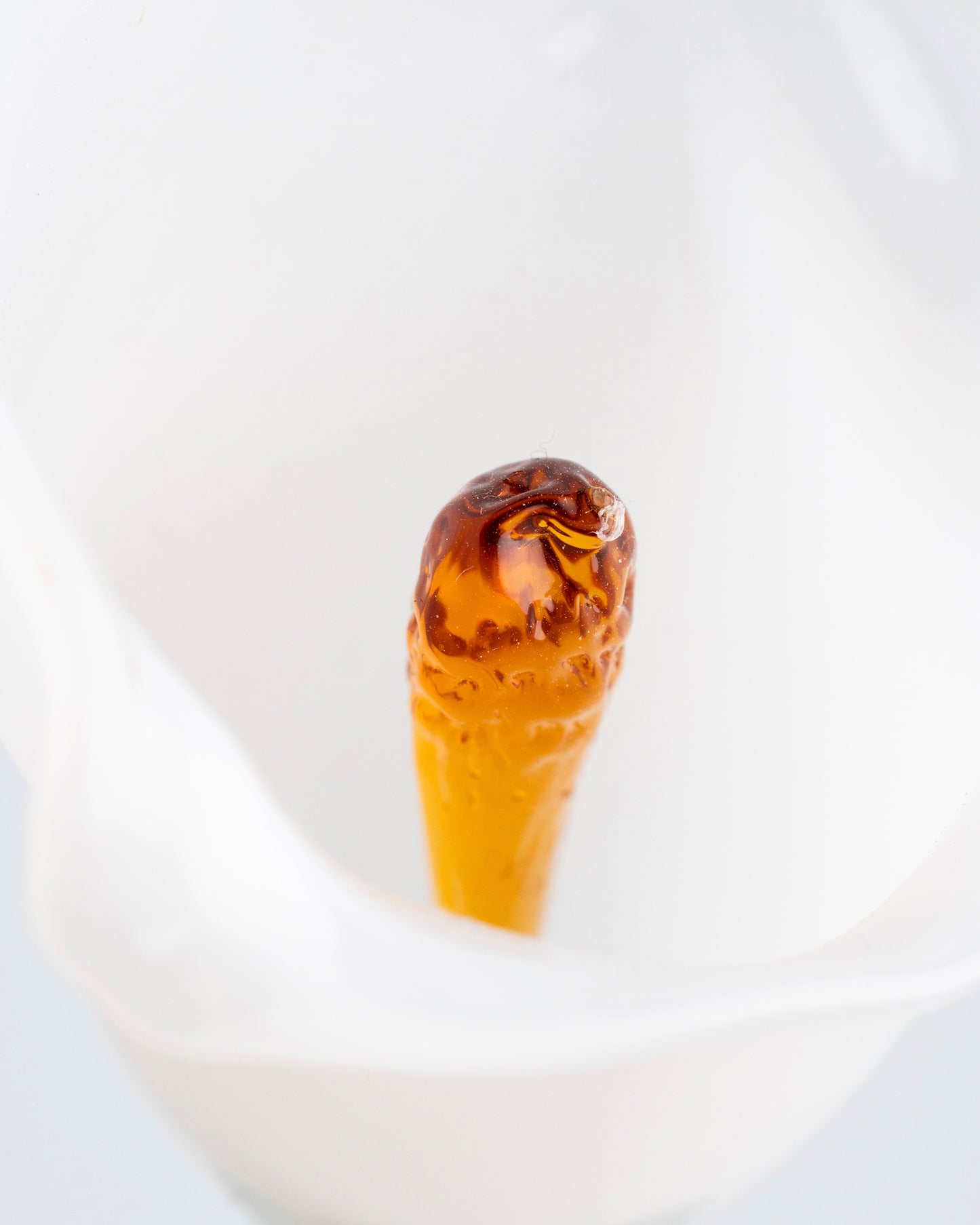 Calla Flower, White