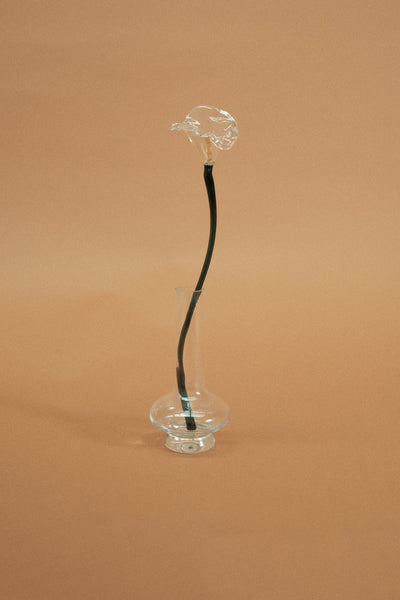Calla Flower, Clear