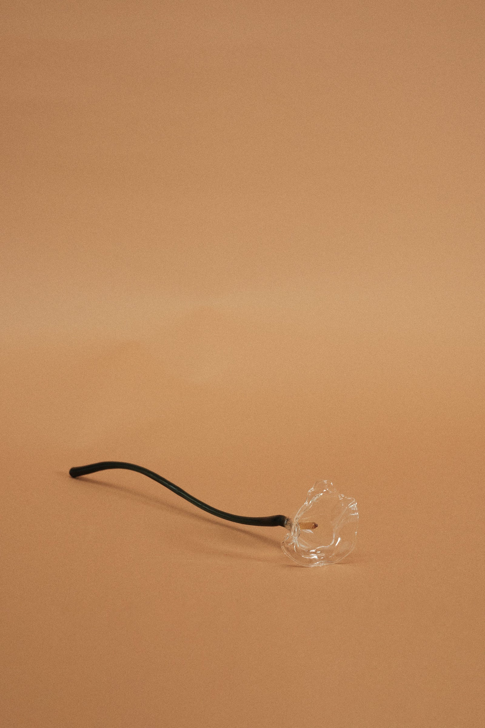 Calla Flower, Clear