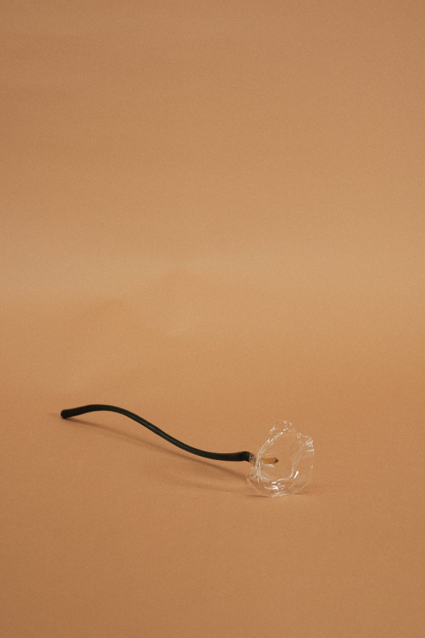 Calla Flower, Clear