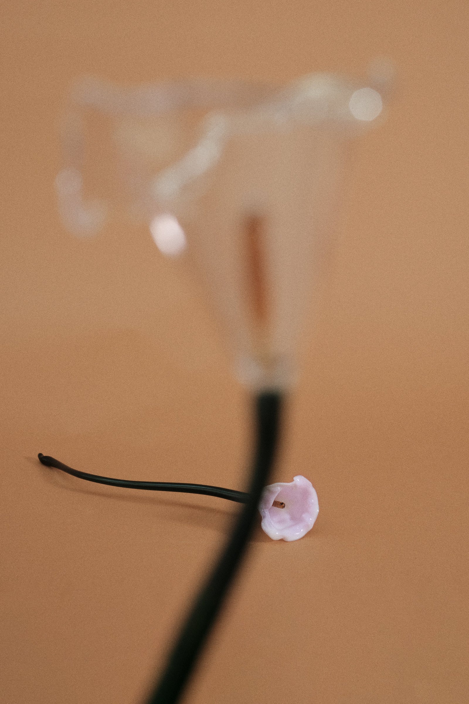 Calla Flower, Clear