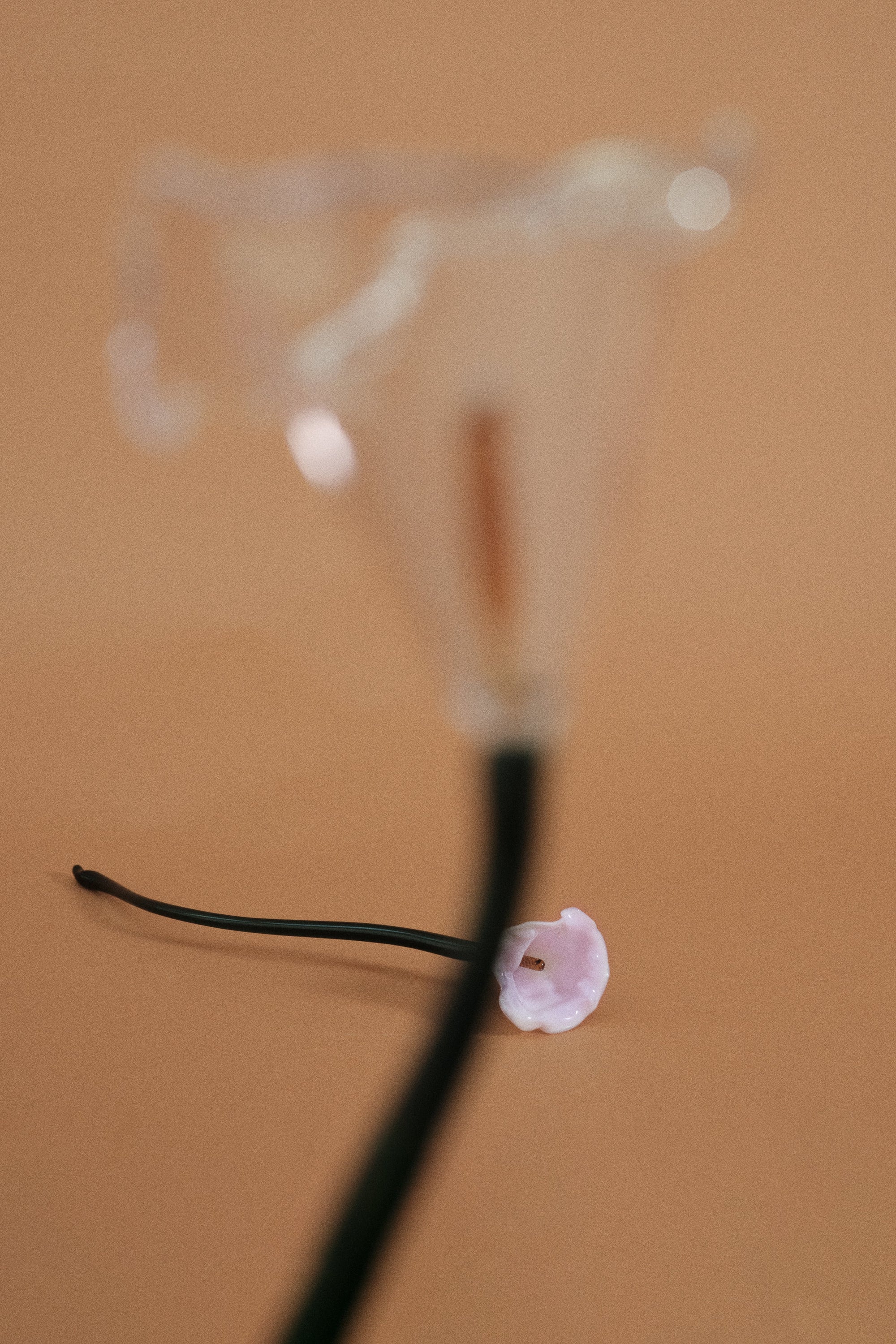 Calla Flower, Clear