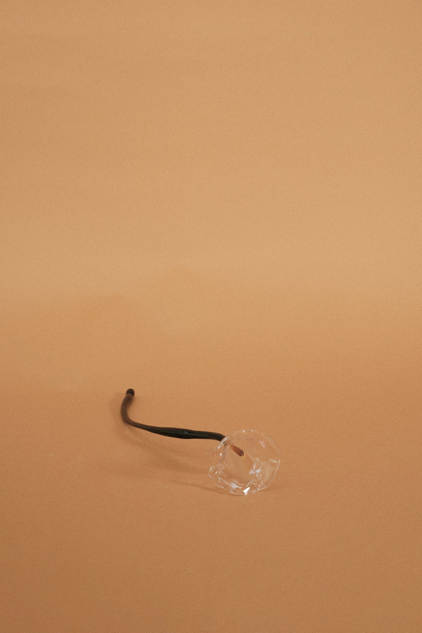 Calla Flower, Clear