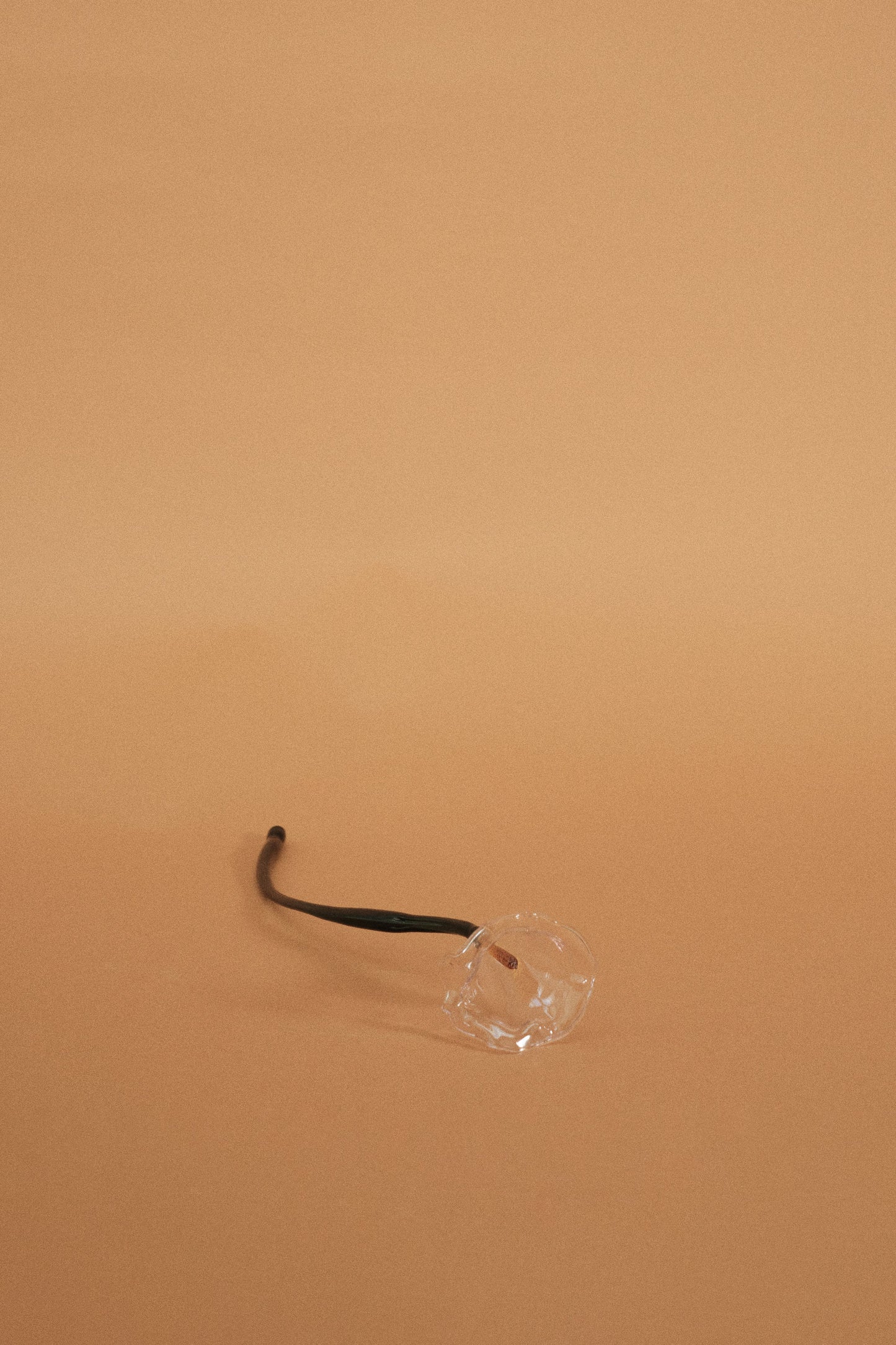 Calla Flower, Clear
