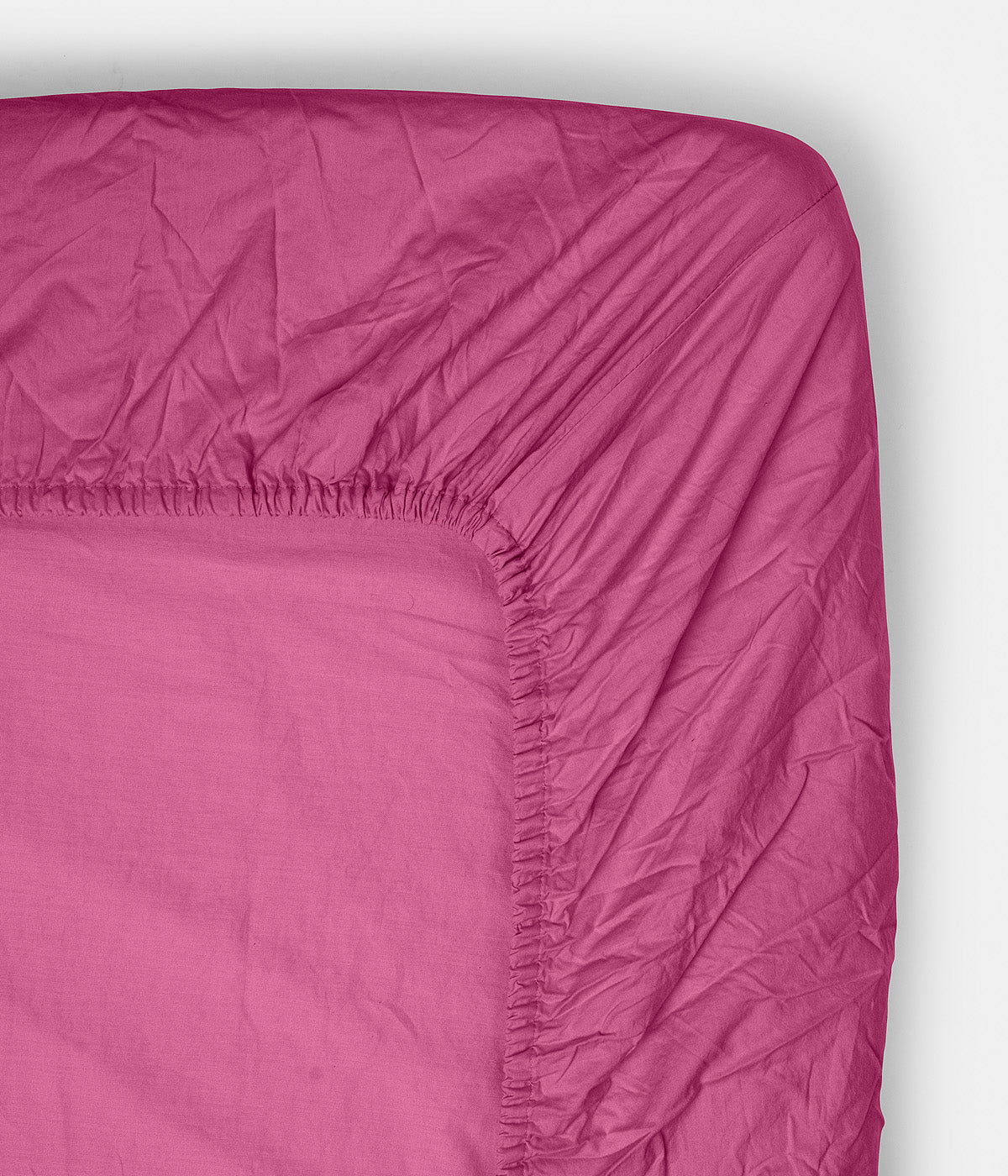 Fitted Sheet Pitaya