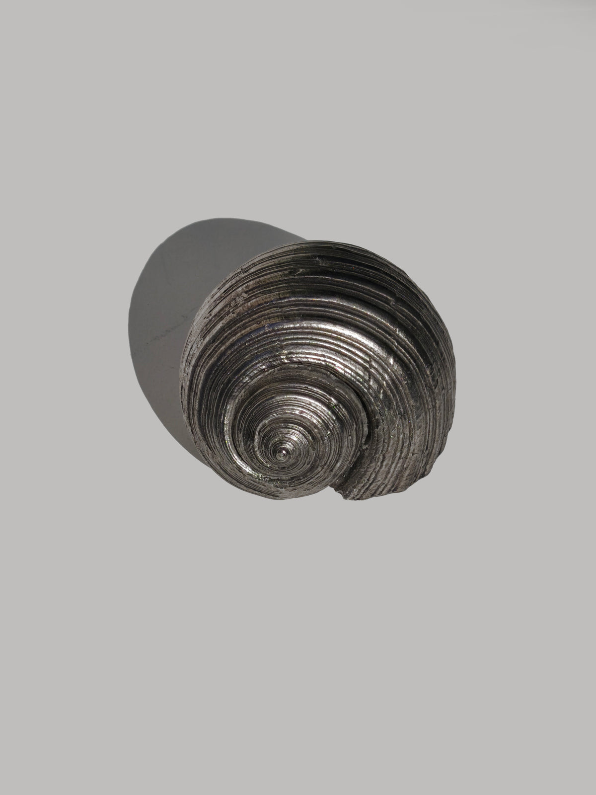 Vintage Silver Shell Sculpture