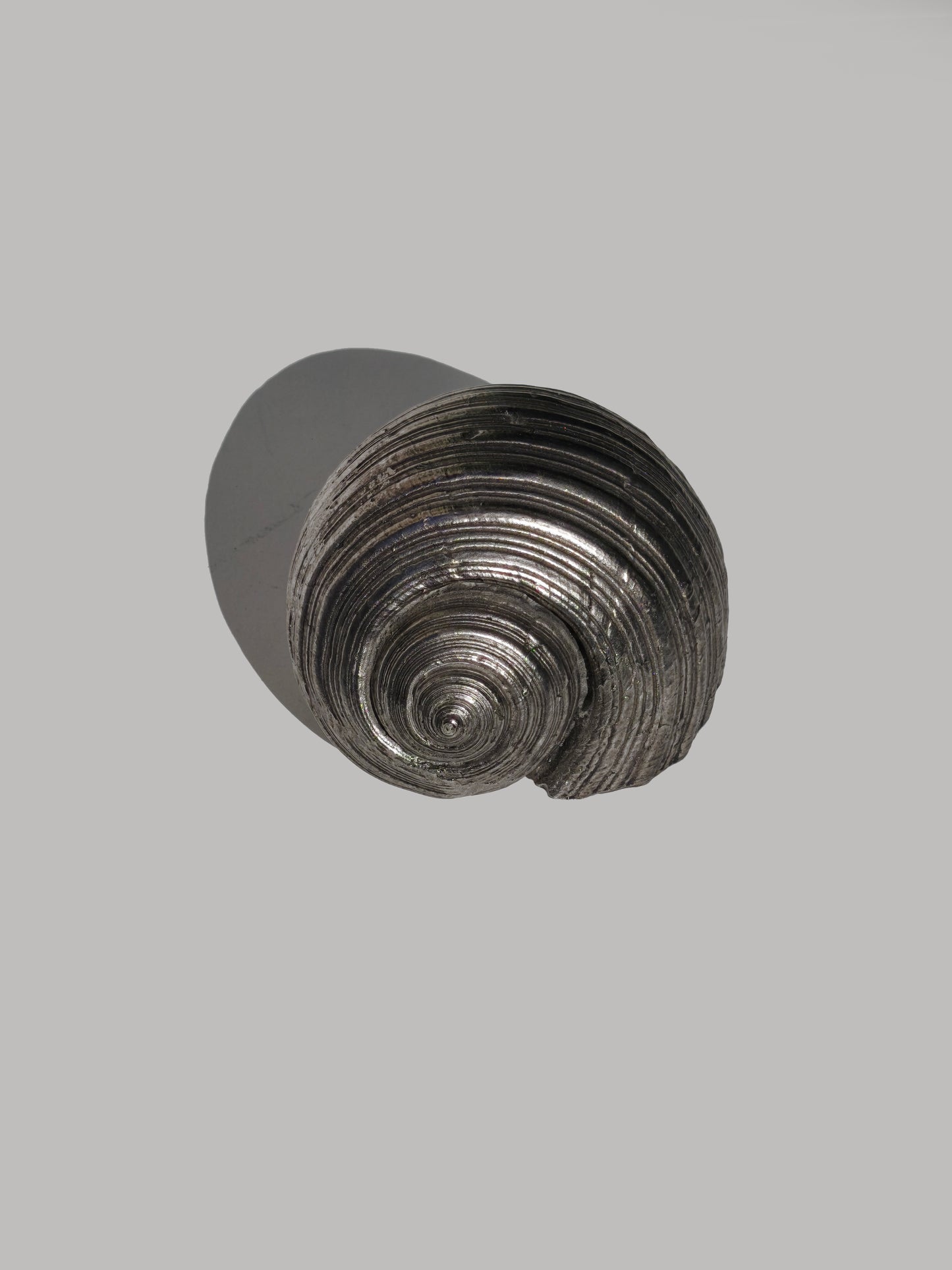 Vintage Silver Shell Sculpture