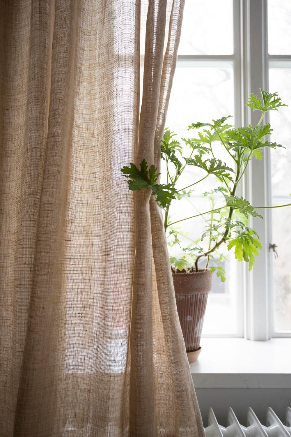 Curtain Ellie Honey Yellow