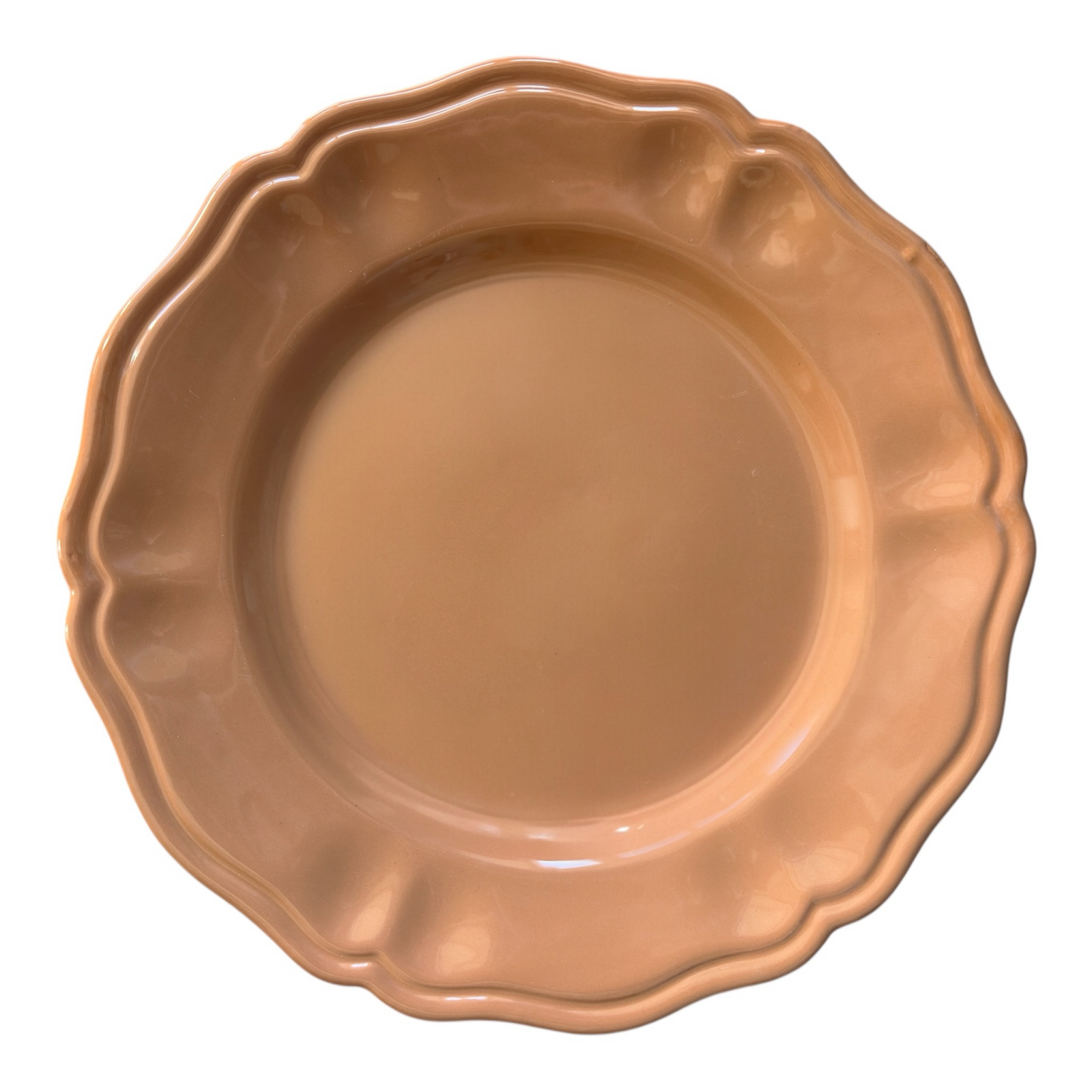 The Terracotta SIM Dinner Plate