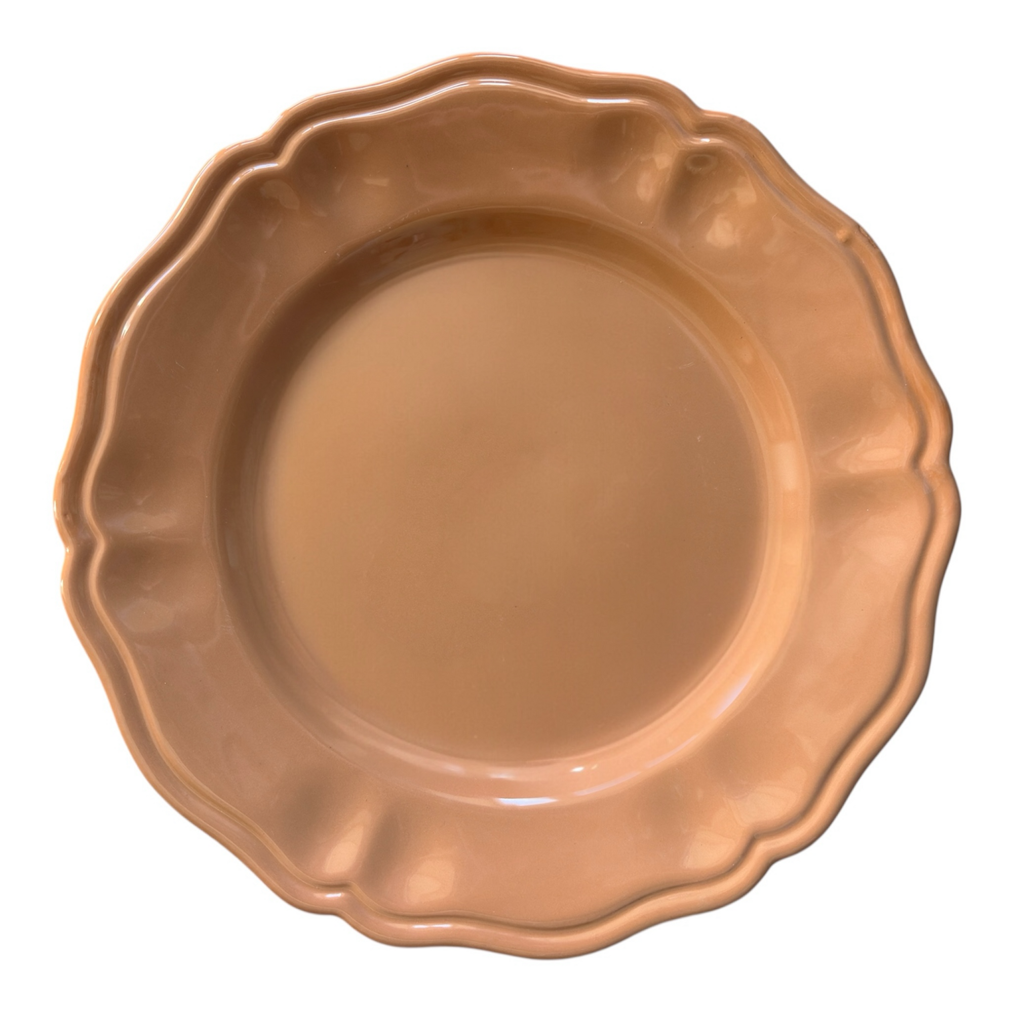The Terracotta SIM Dinner Plate
