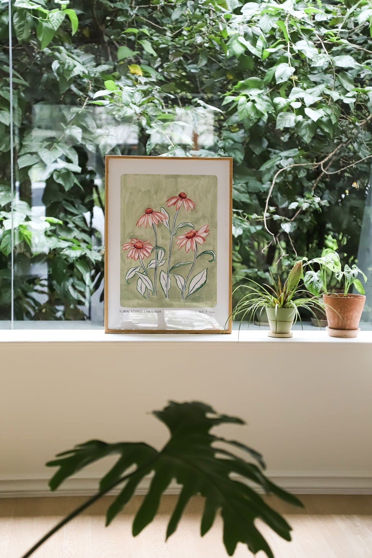 Coneflower Art Print