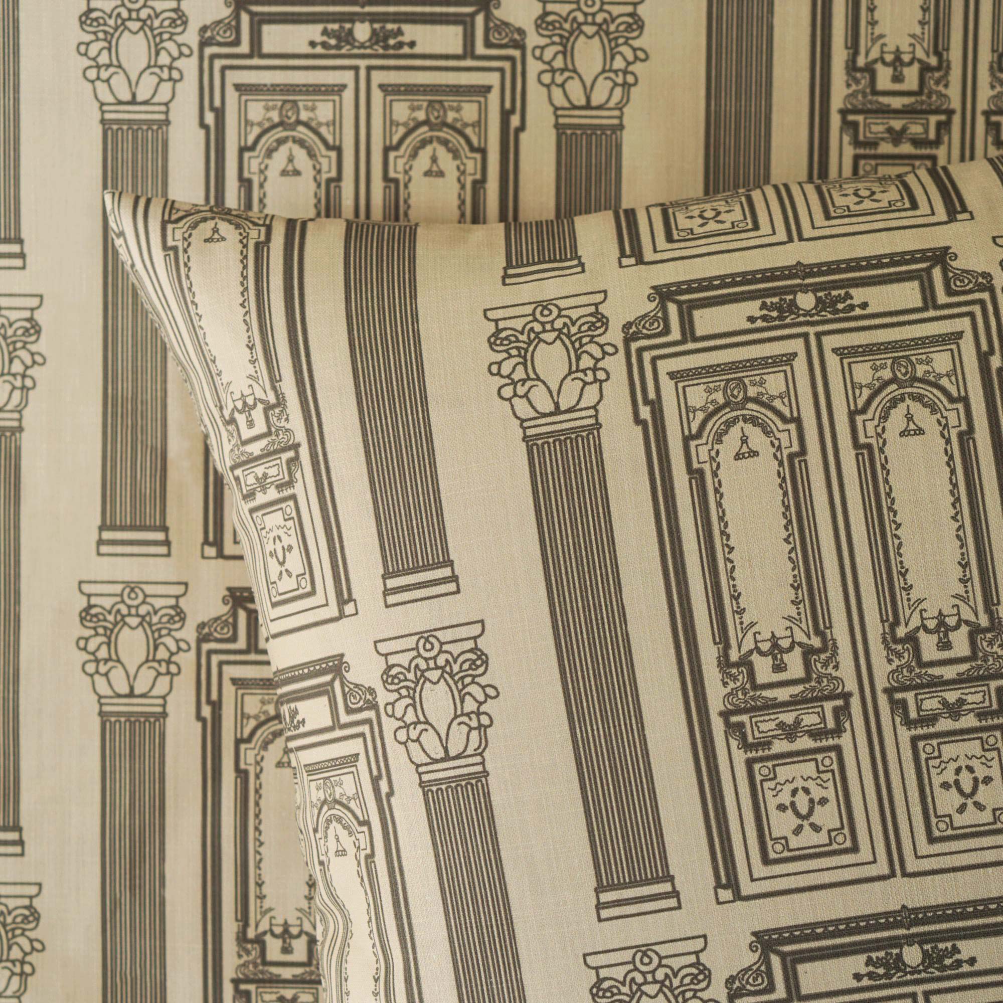 Portes de Paris Pillow