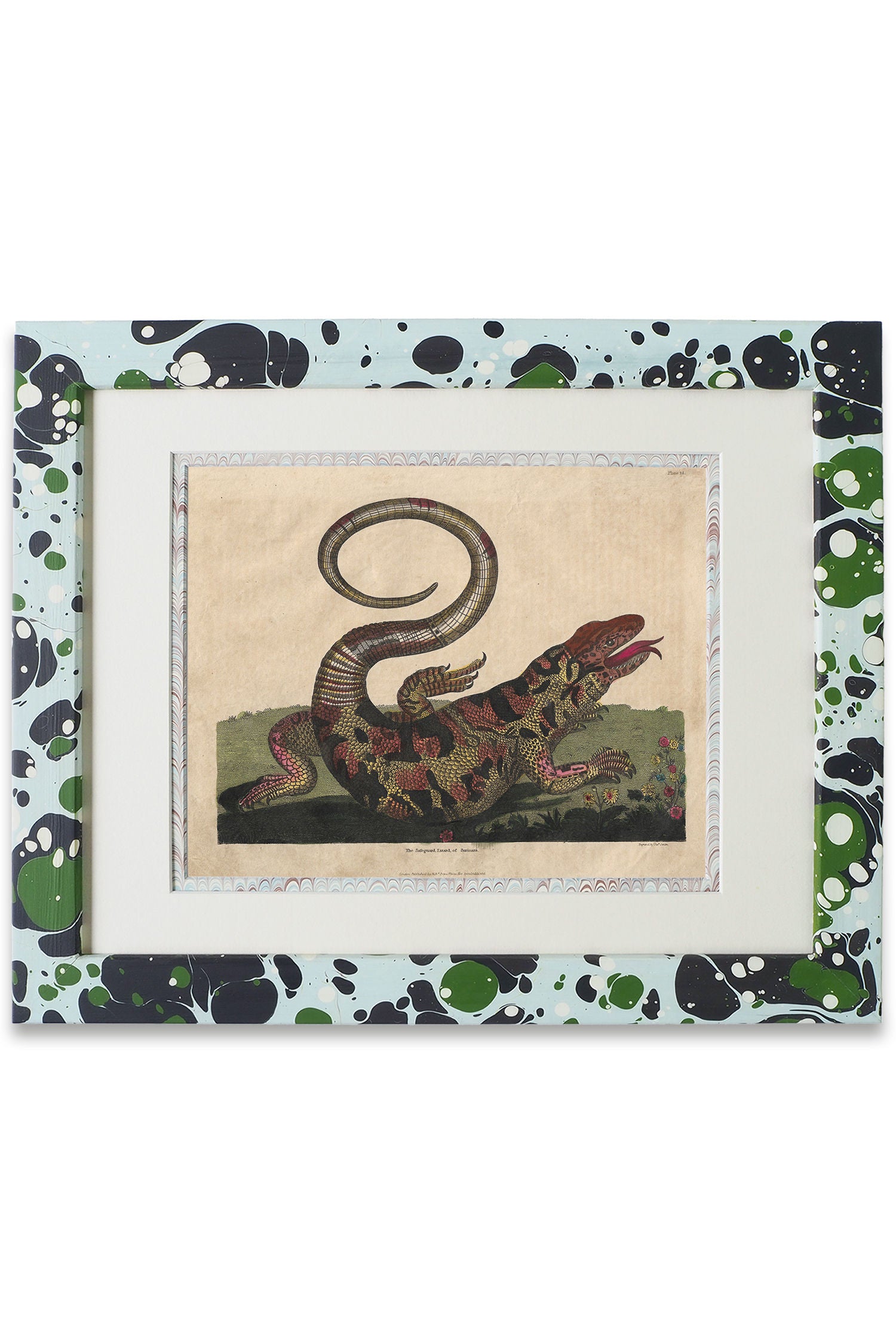Buffon No.14 Glacier Framed Print