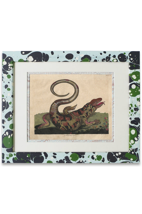 Buffon No.14 Glacier Framed Print
