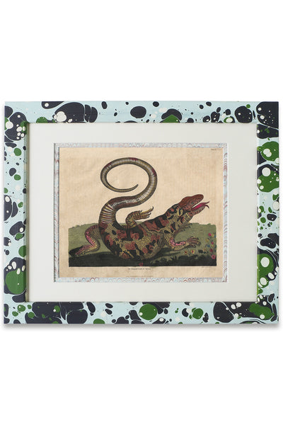 Buffon No.14 Glacier Framed Print