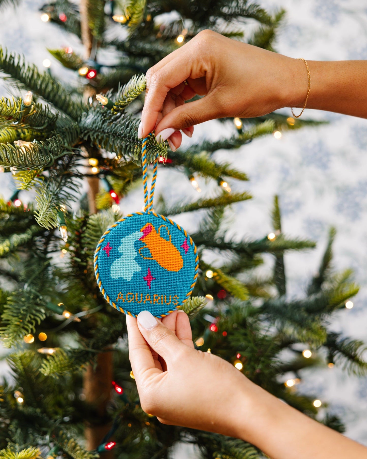 Needlepoint Zodiac Ornament - Aquarius