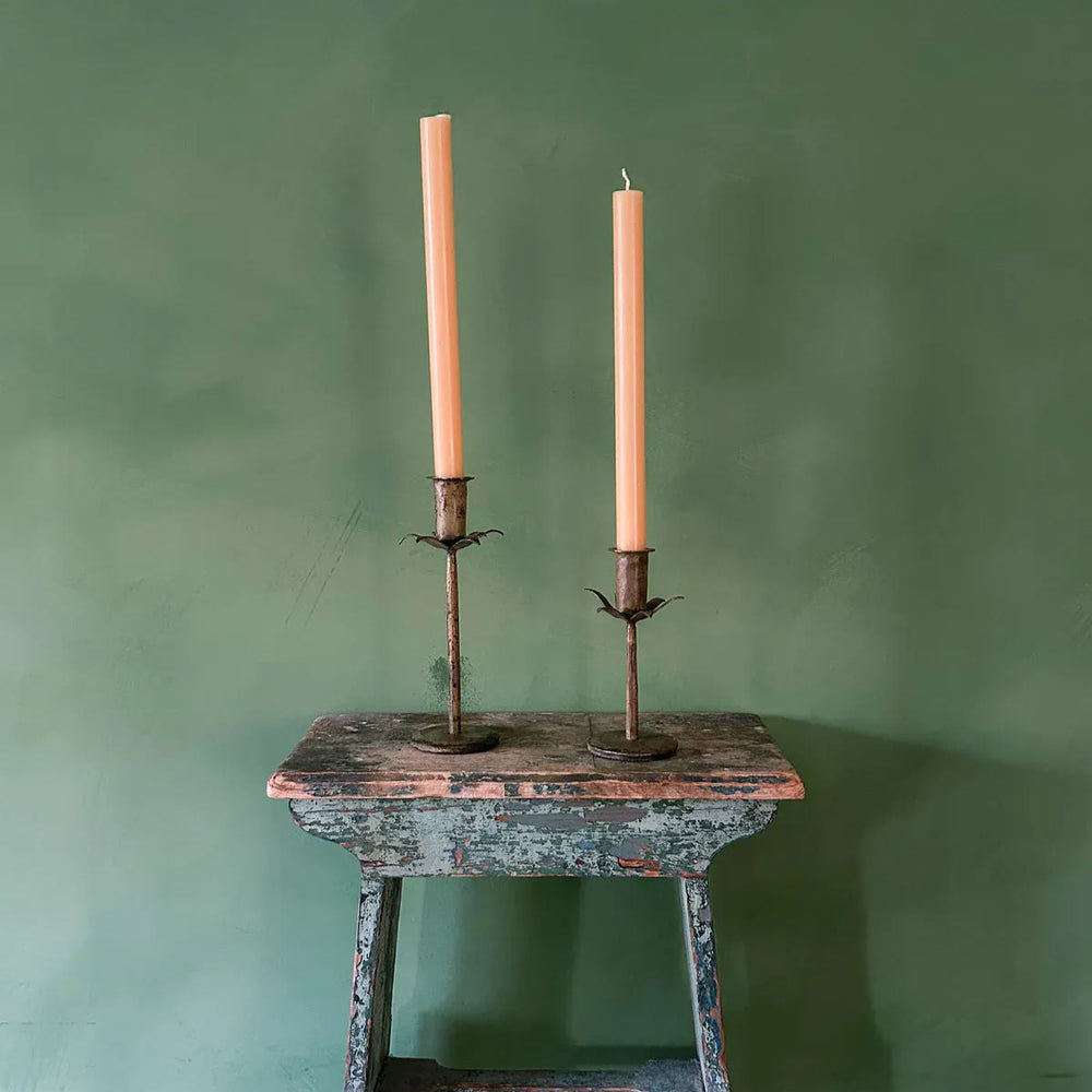 Candle Holder, Daffodil