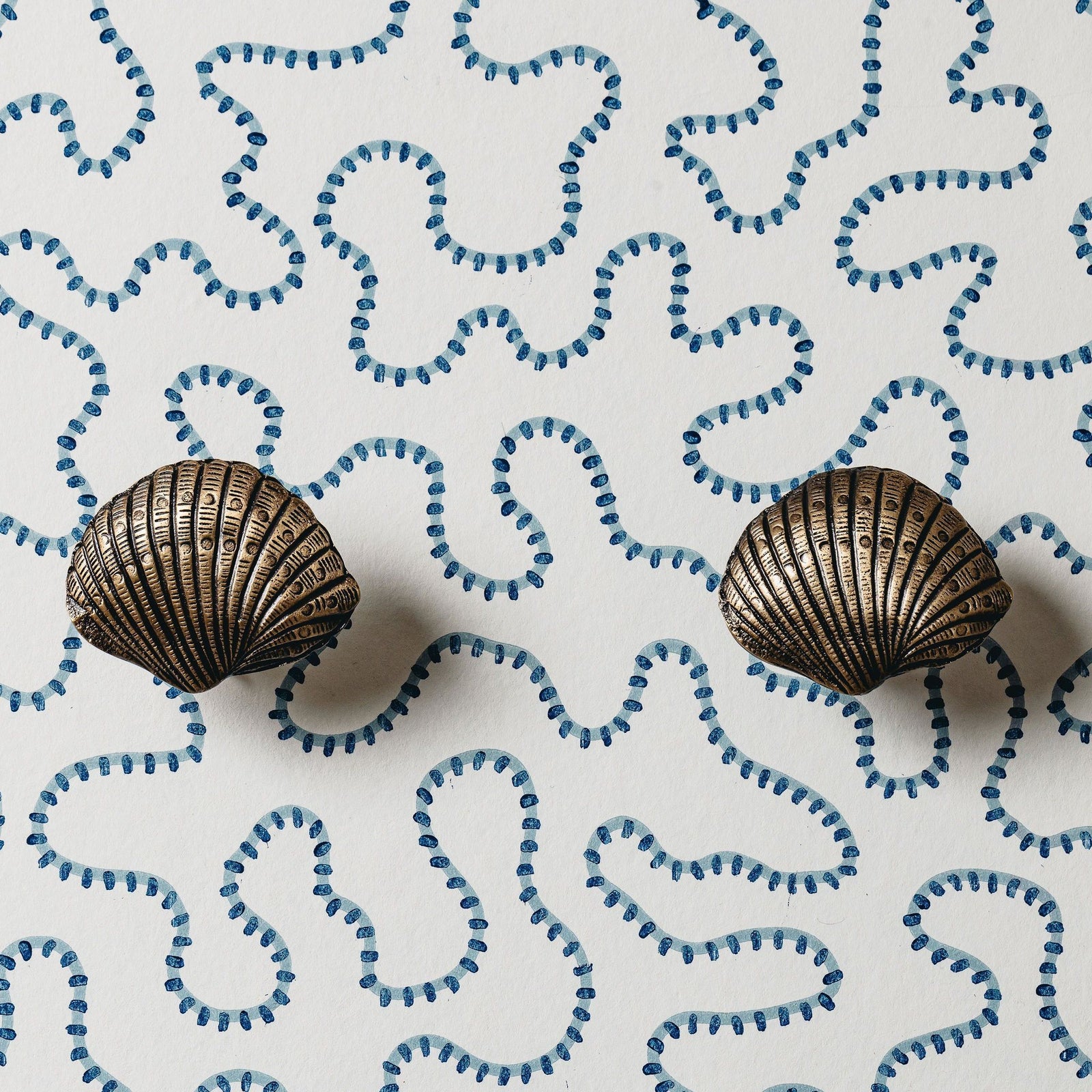 Cockle Shell Knob, Lacquered Brass