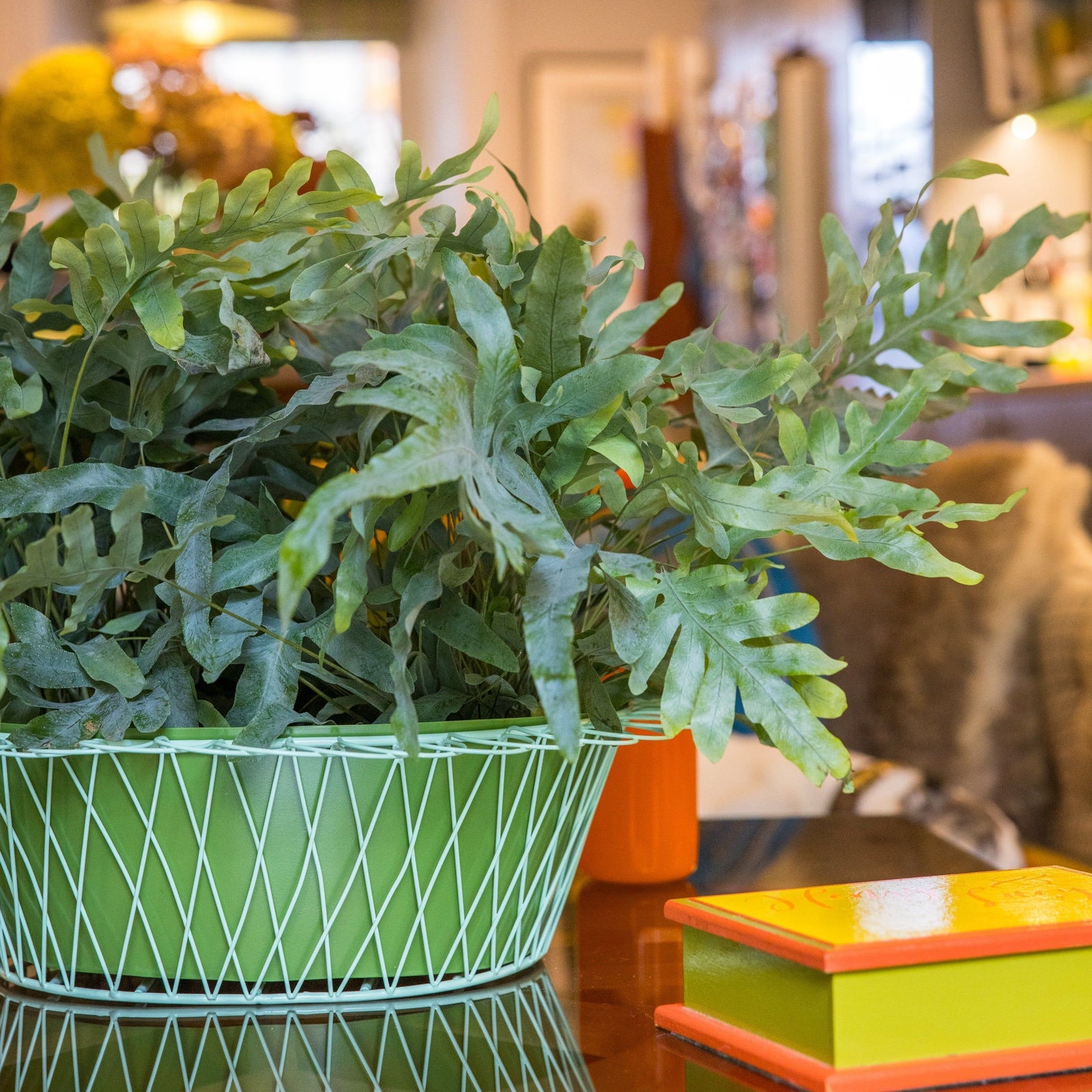Wire Basket Planter | Apple Green & Turquoise